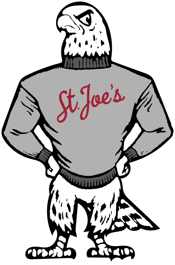 St. Josephs Hawks 1982-1995 Primary Logo diy DTF decal sticker